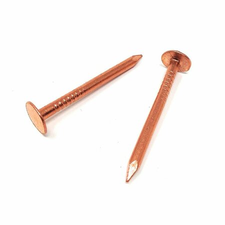 THRIFCO PLUMBING Copper Nails 10pk 9436198